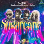Camidoh’s ‘Sugarcane Remix’ becomes 2nd Ghanaian song to peak number one on Apple Music chart in Nigeria in 2022